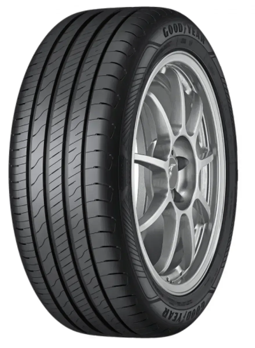 Goodyear EFFICIENTGRIP PERFORMANCE 2 205/55 R16 91 V