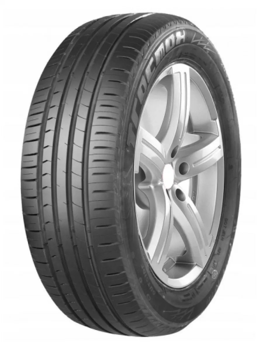 Tracmax X-PRIVILO TX1 205/55 R16 91 V